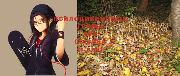 спиды Белоозёрский