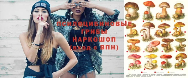 герыч Нефтегорск