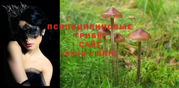 PSILOCYBIN Балахна