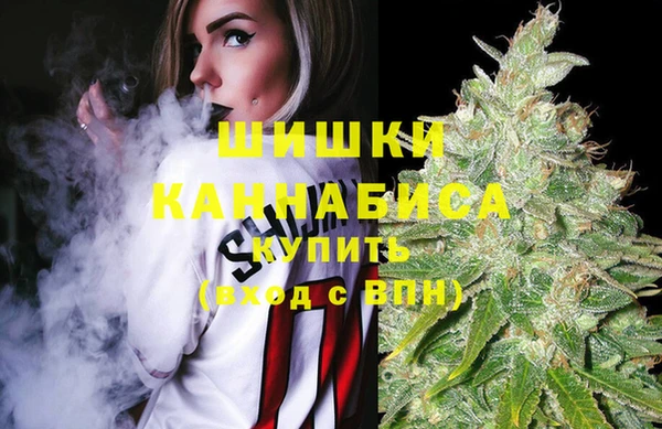 PSILOCYBIN Балахна